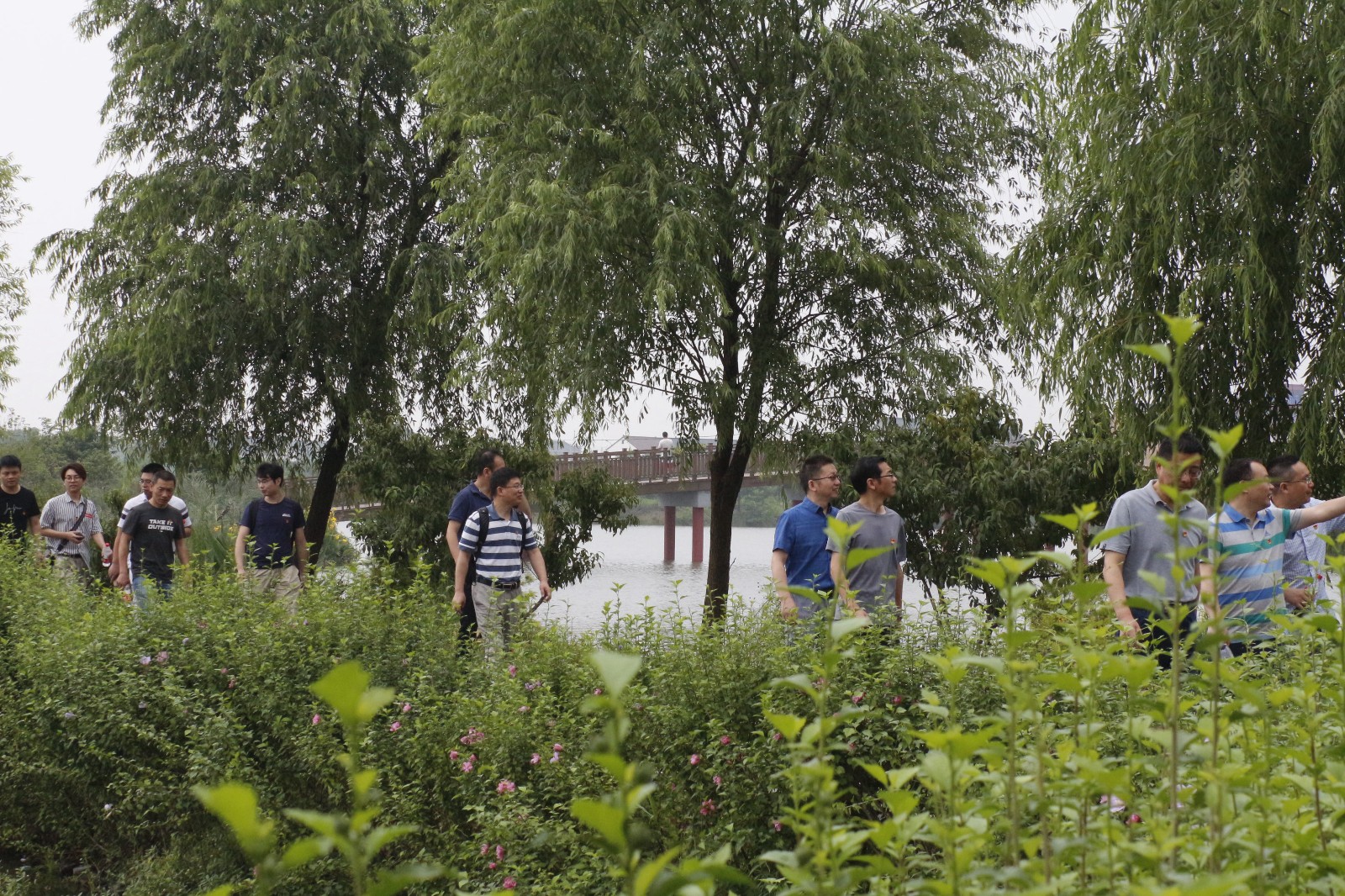 1566551594412918.jpg 1566551594412918.jpg